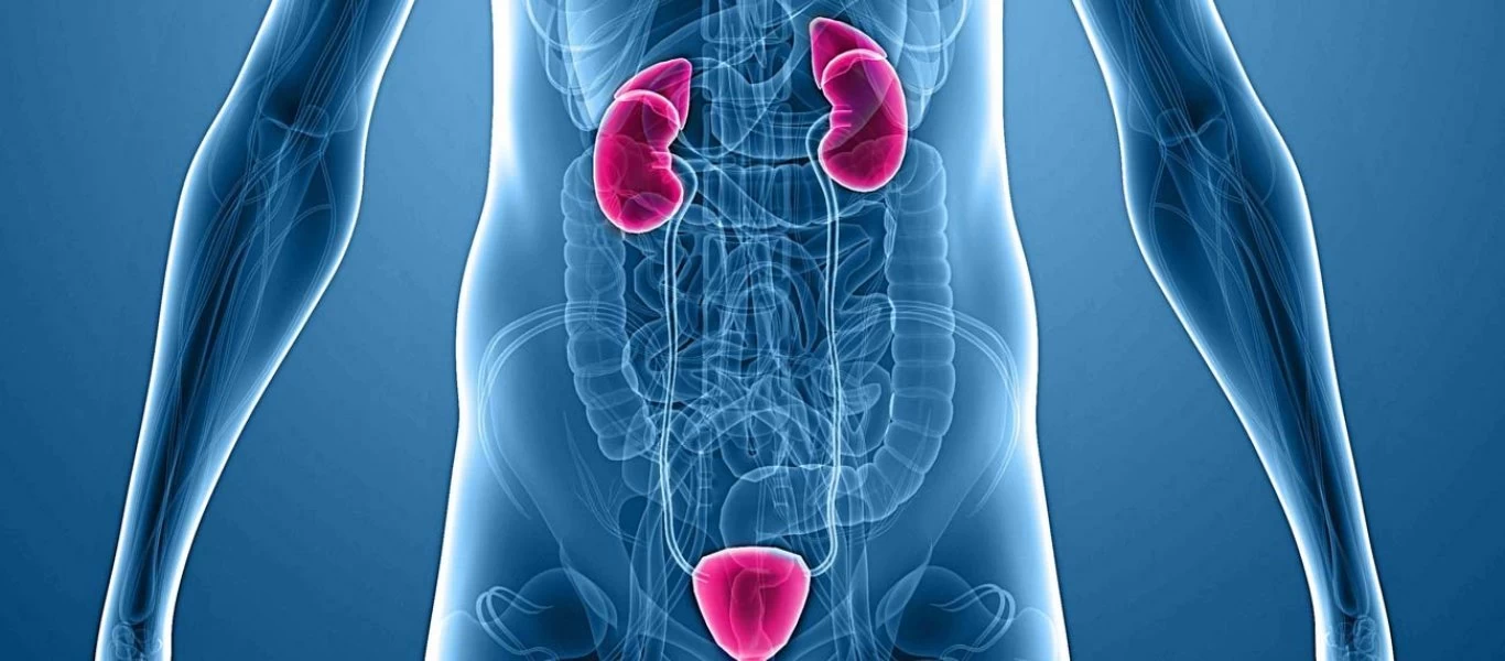 Όλα όσα πρέπει να ξέρετε για τα ούρα - Οι 17+1 αλήθειες που δε γνωρίζατε (βίντεο)